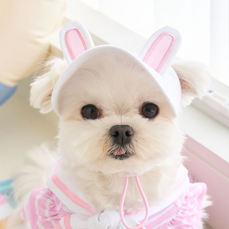 酷夏 兔子防曬帽 pink粉- It’s sunny outside