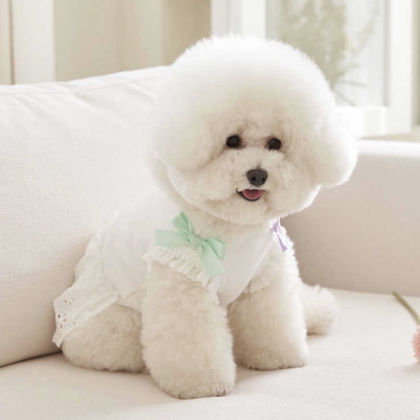 Petit Sherbet 糖果裙裝 -White 白色- It’s sunny outside