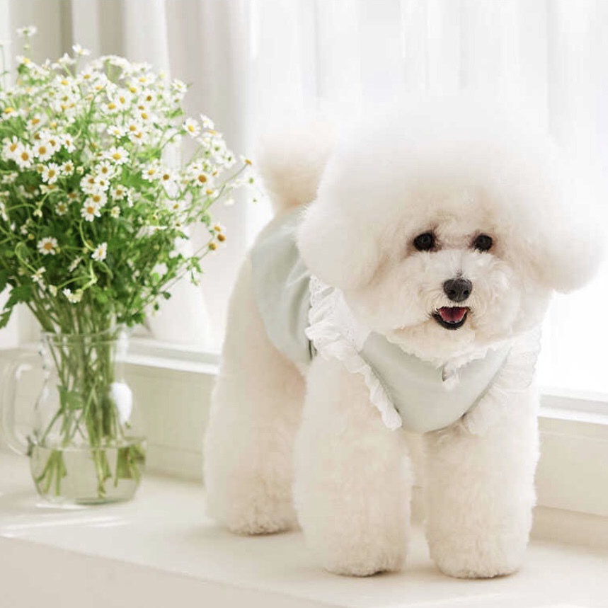 法式蕾絲泡泡上衣-Mint 薄荷-It’s sunny outside