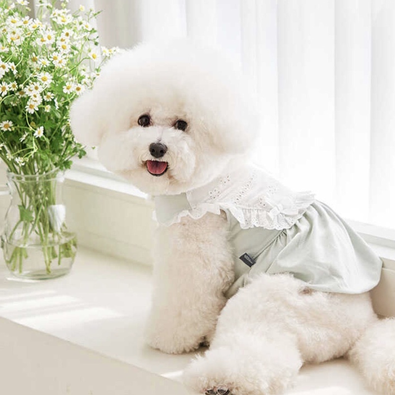 法式蕾絲泡泡上衣-Mint 薄荷-It’s sunny outside