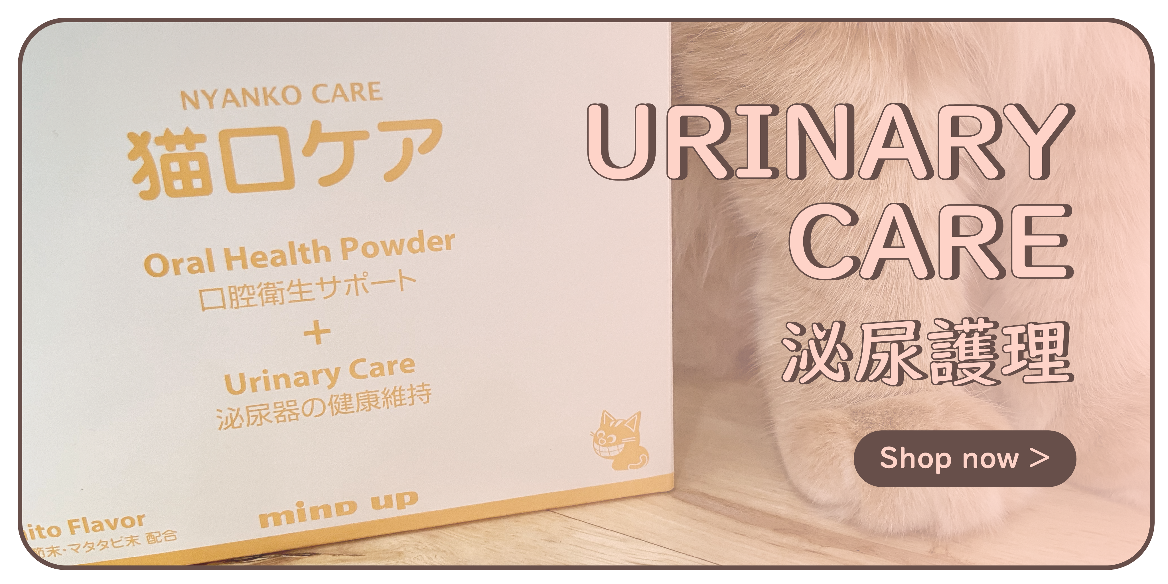 Urinary Care 泌尿護理