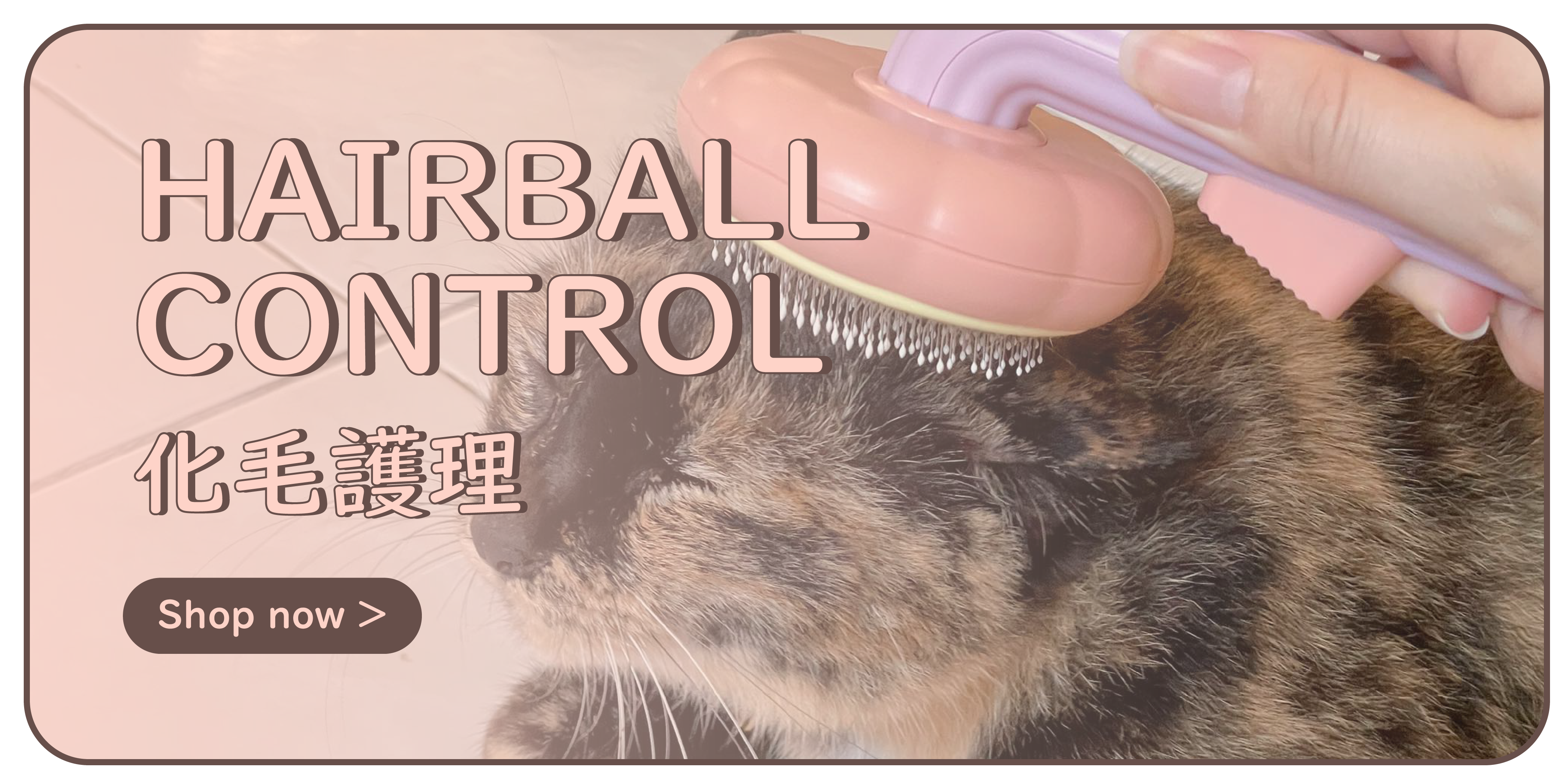 Hairball Control 化毛護理