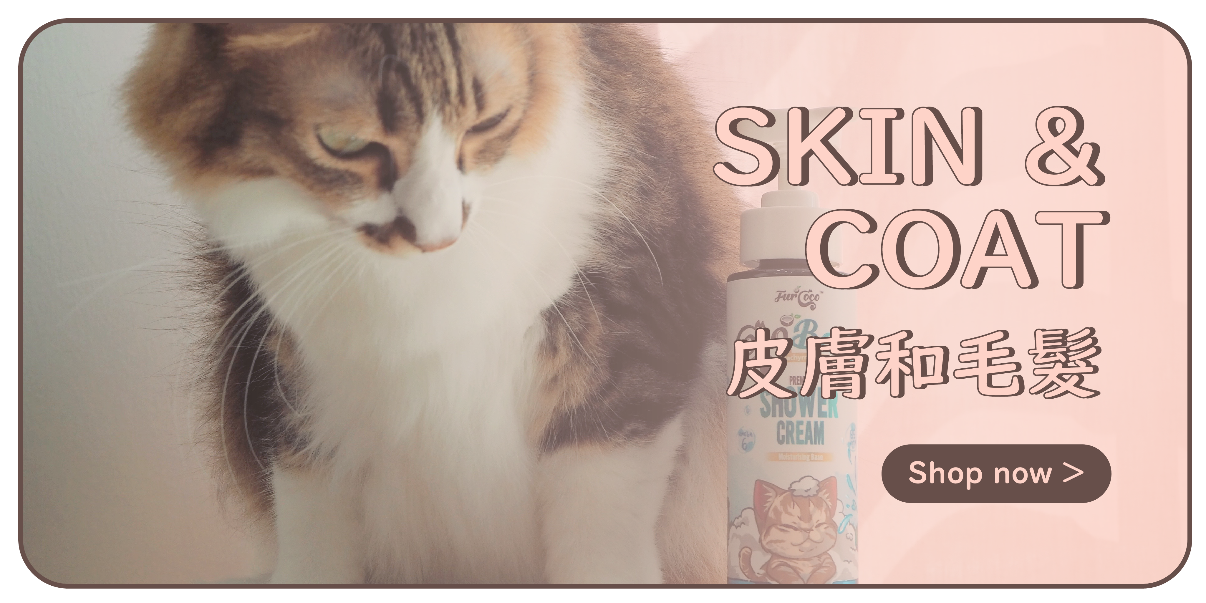 Skin & Coat 皮膚和毛髮