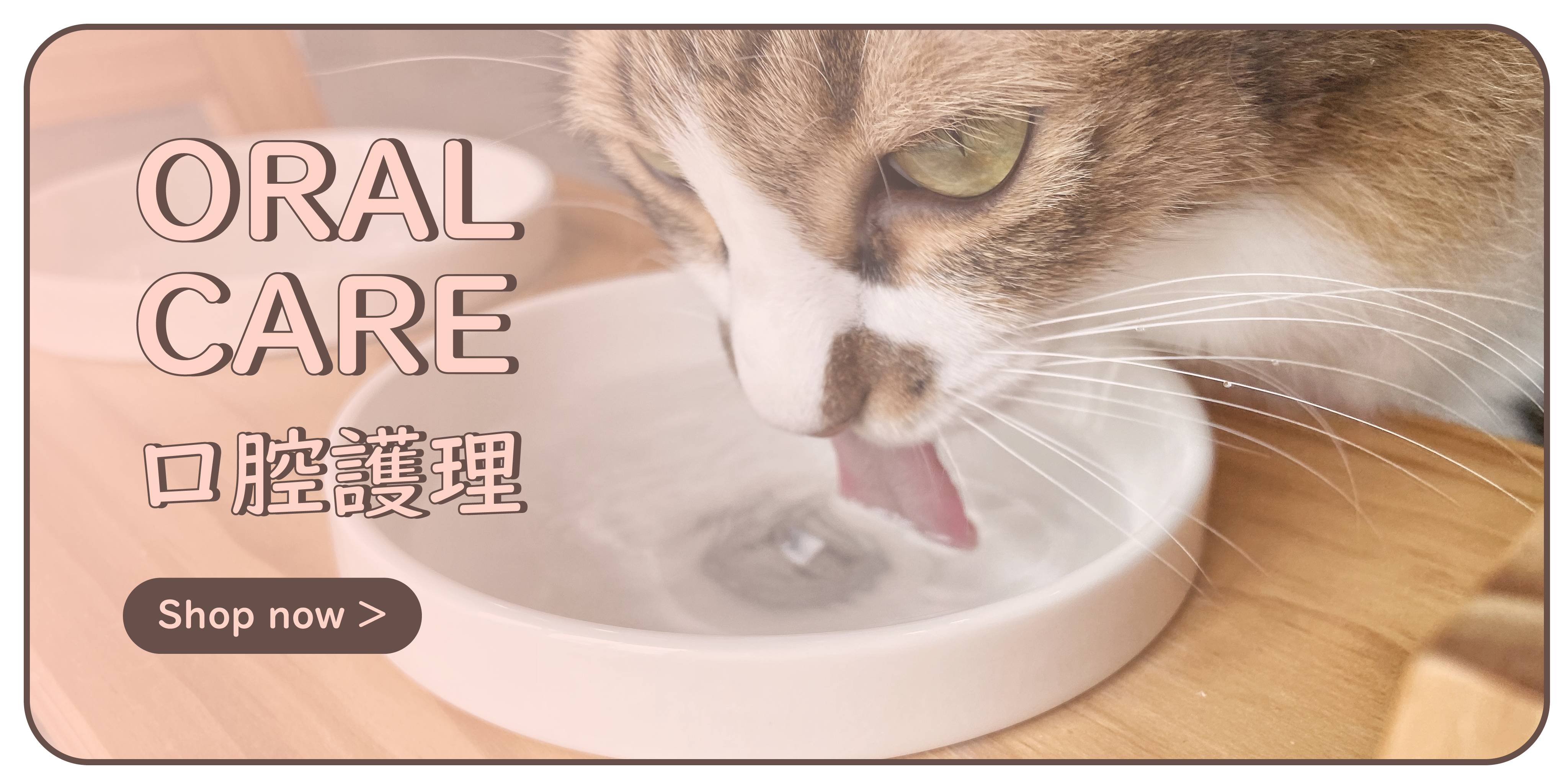 Oral Care 口腔護理