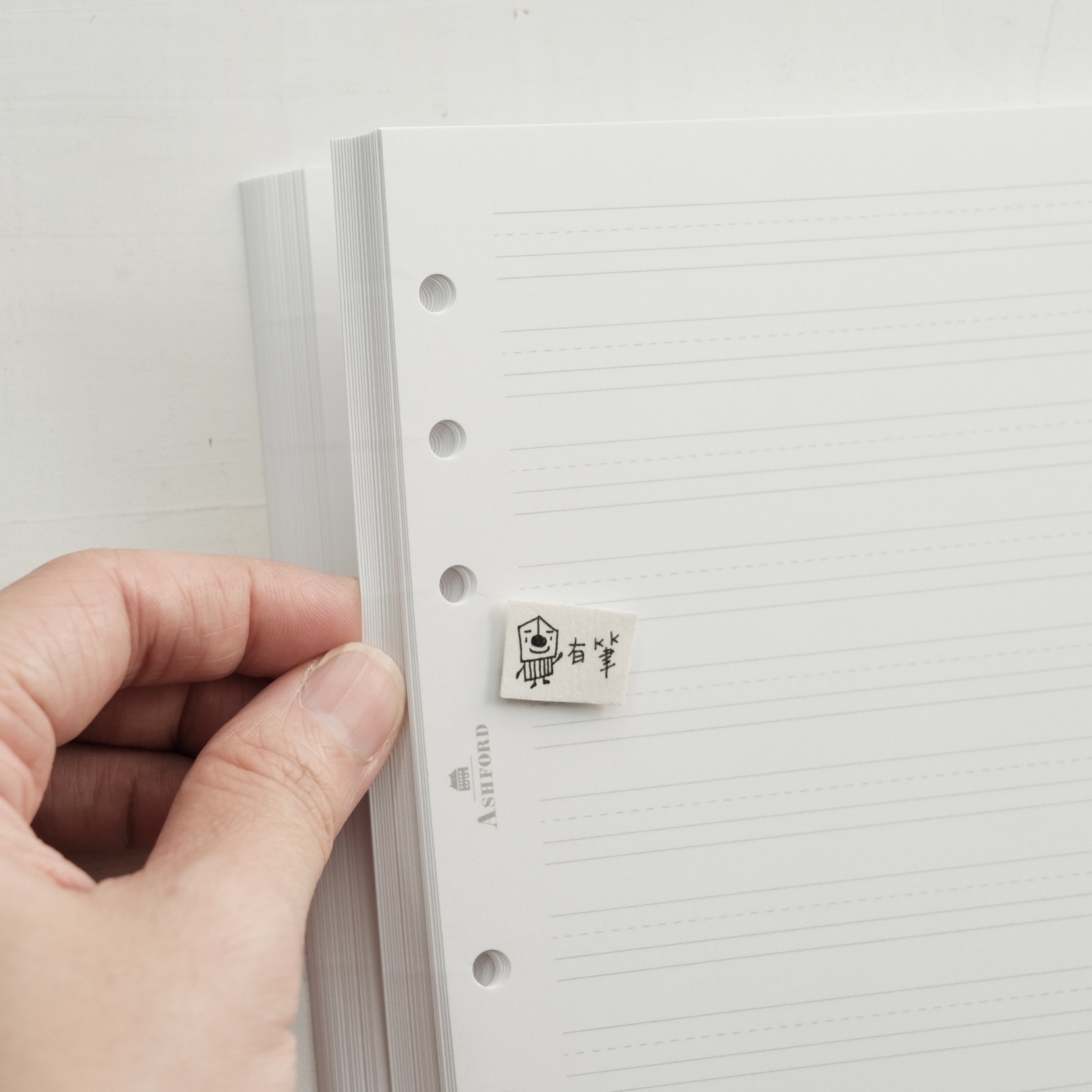 HBWA5 英文花體練習內頁｜ASHFORD 日本