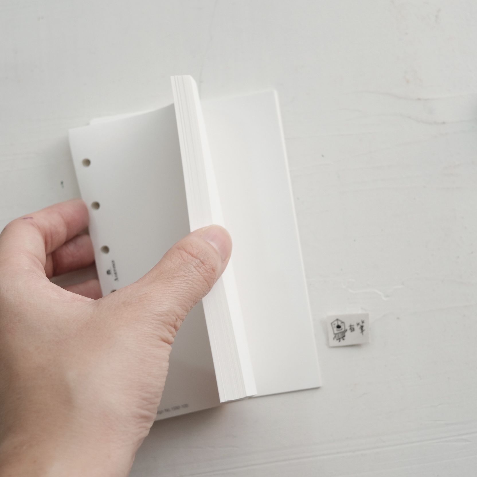 ASHFORD - MINI 6 / Blank Tomoe River Paper