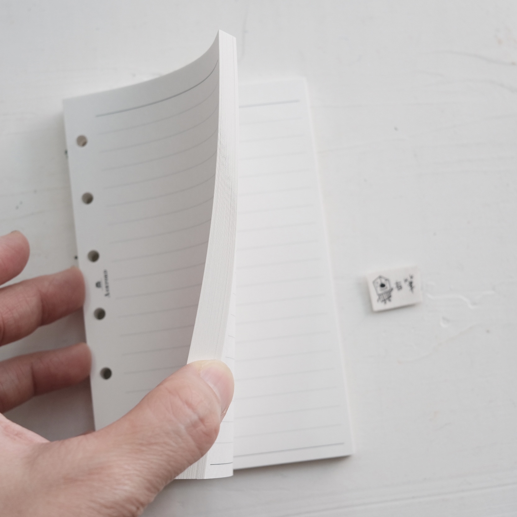 ASHFORD - MINI 6 / 6mm Lined Paper