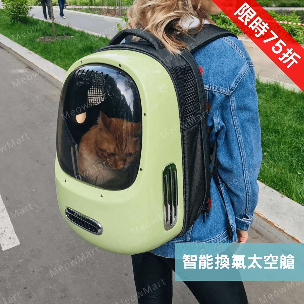 【現貨75折】Petkit 智能換氣太空艙 - 綠茶色