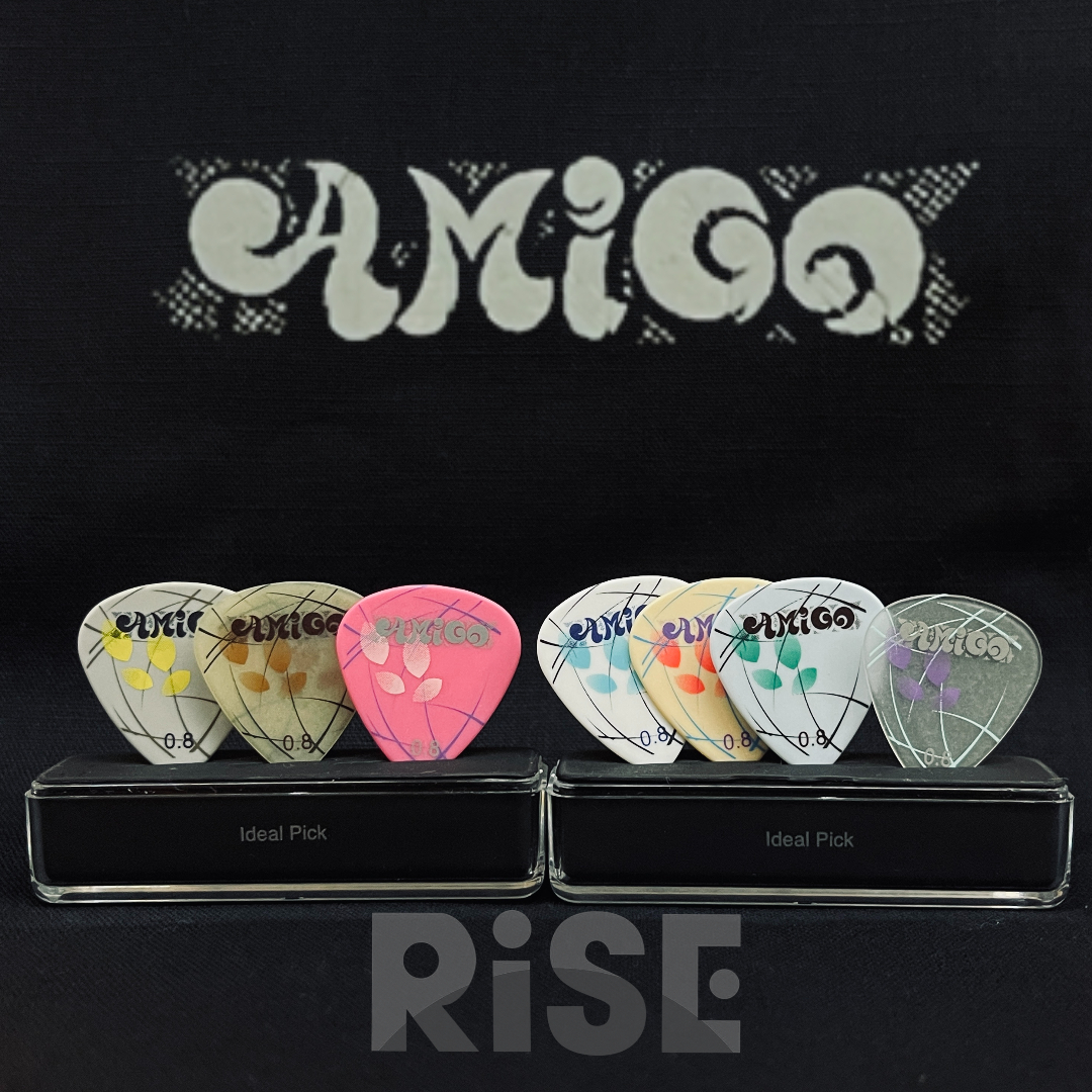 AMIGO 落葉系列 超耐磨 不掉漆 台灣製造 匹克 PICK