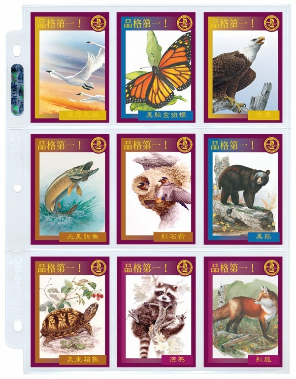 品格教育第二集：小卡片加顯示套