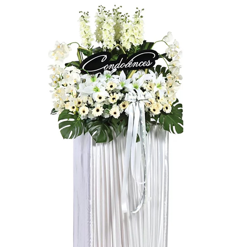 H179 ⭐⭐⭐⭐⭐FREE DELIVERY