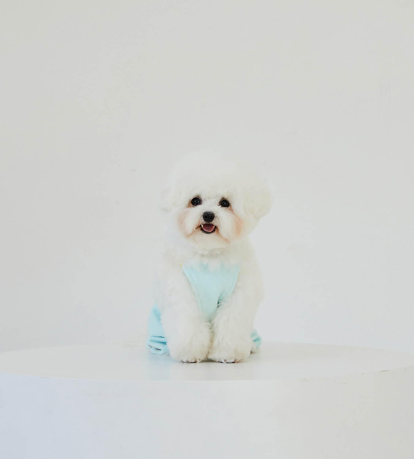 【韓國直送｜原裝行貨】Dan Online PC狗 狗狗吊帶褲 (多款尺寸)