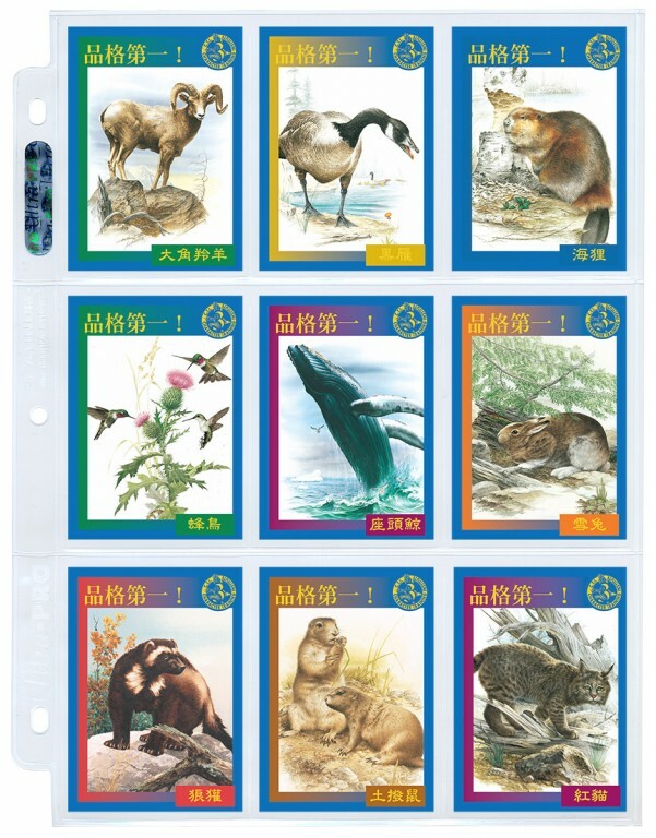 品格教育第三集：小卡片加顯示套