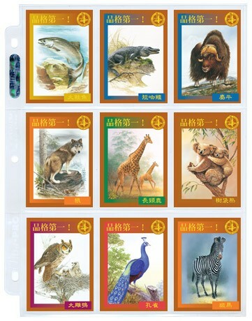 品格教育第四集：小卡片加顯示套