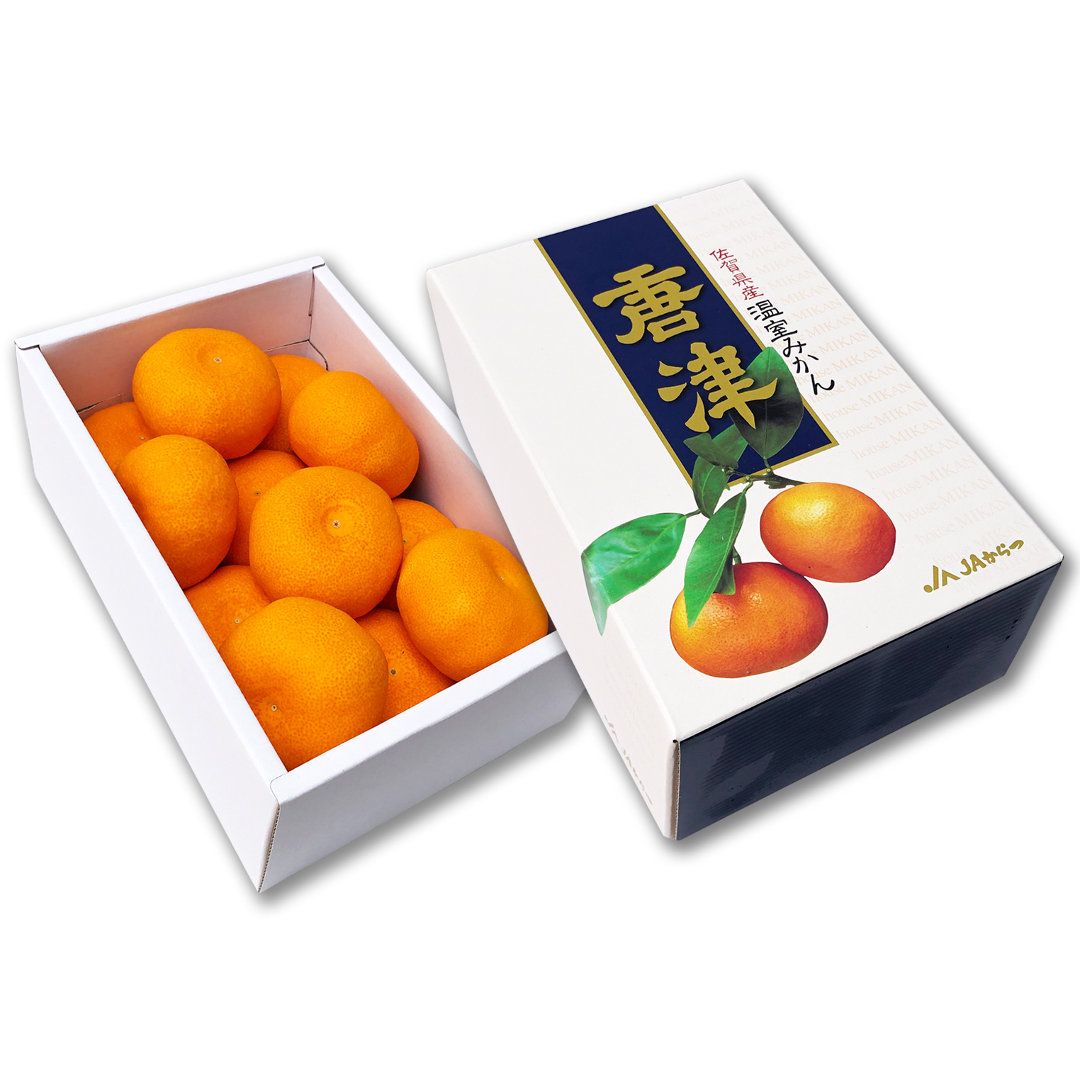 Japanese Saga Karatsu Tangerines [Gift Box]