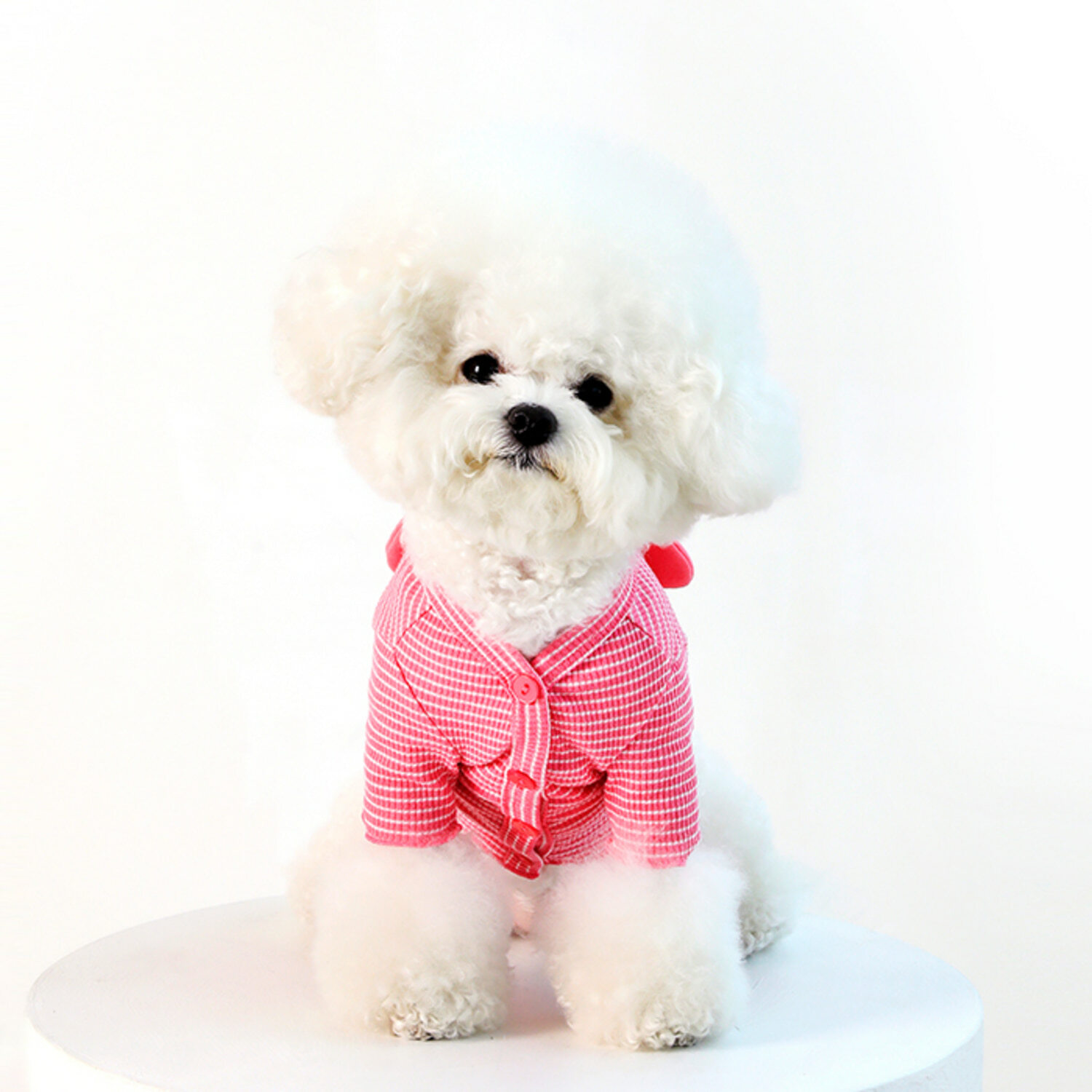 【韓國直送｜原裝行貨】Dan Online 迪士尼系列米奇老鼠毛衣 (洋紅色 ) (多款尺寸)