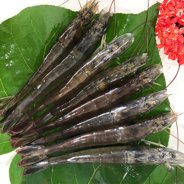 馬來西亞活凍白蝦850g±5%(約35-40隻)