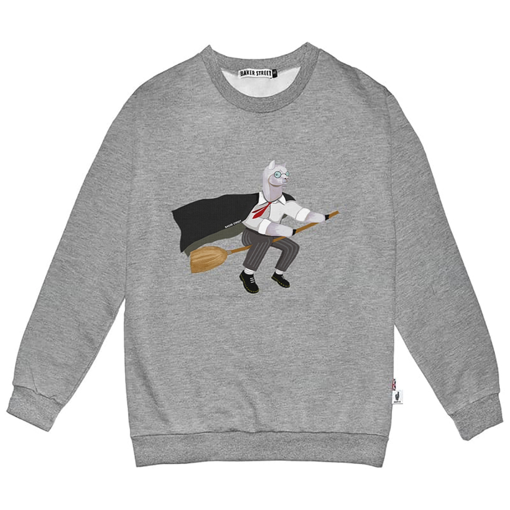 Harry Alpoter 哈利波駝 高磅數長袖圓T