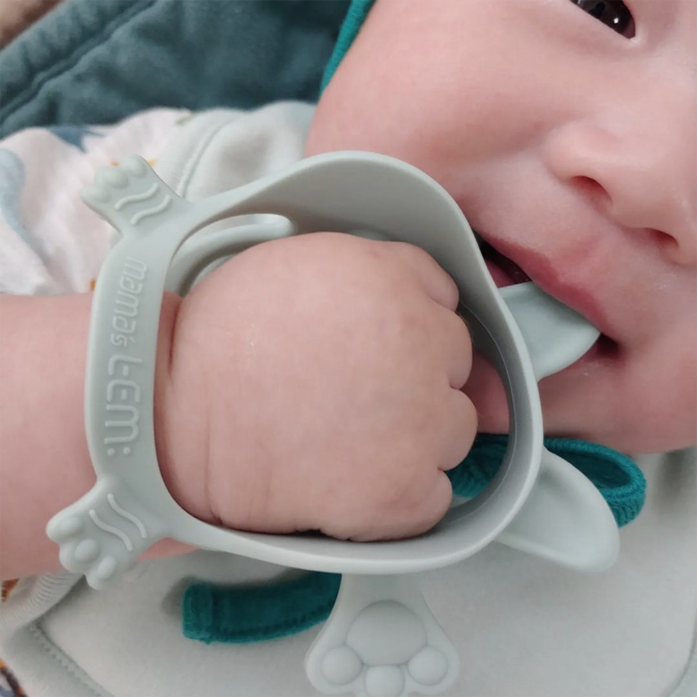 分齡設計(多重口感組)【翹尾小虎+胖蝴蝶】-韓國MAMA's TEM固齒器