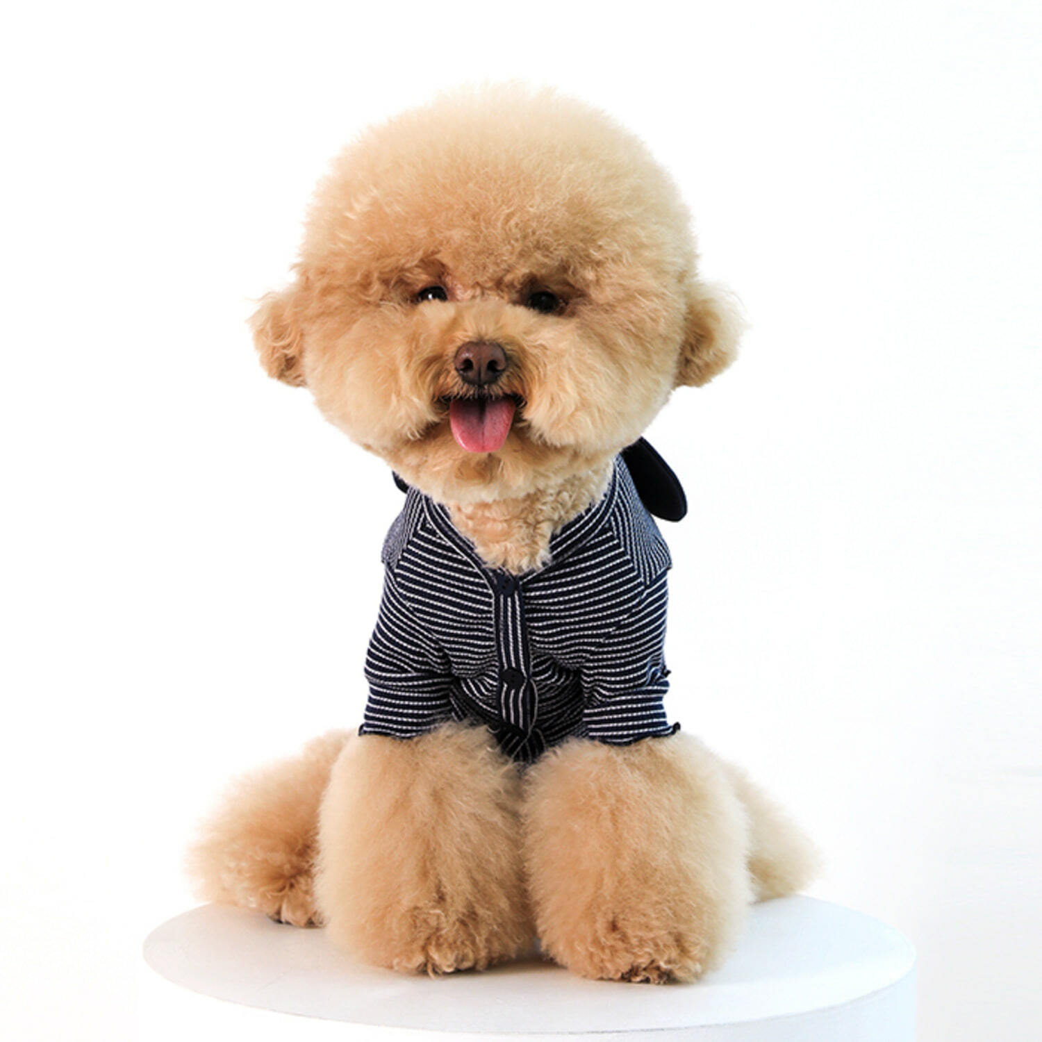 【韓國直送｜原裝行貨】】Dan Online 迪士尼系列米奇老鼠毛衣 (深藍色) (多款尺寸)