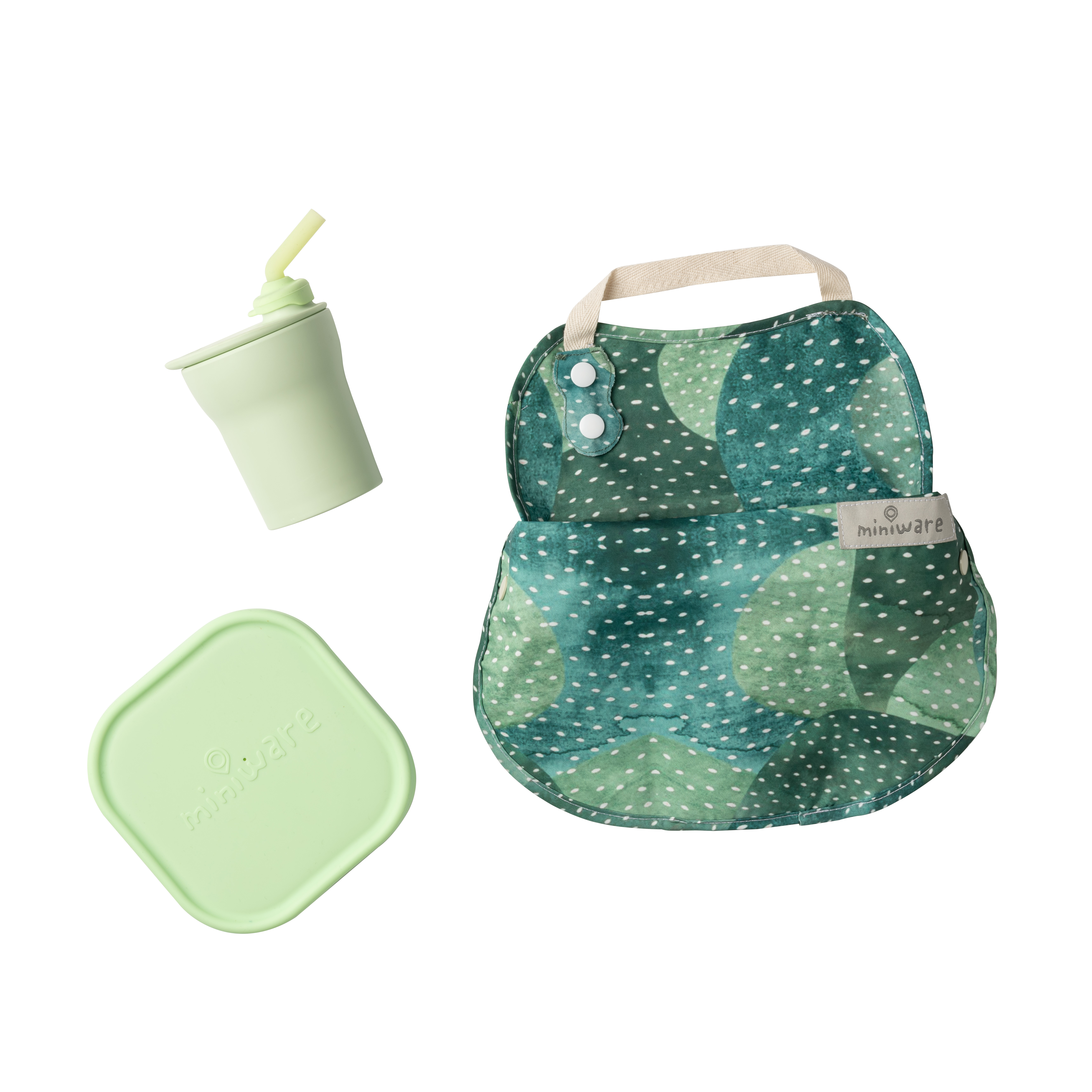 Eco Explorer - Hot Succulent /Green