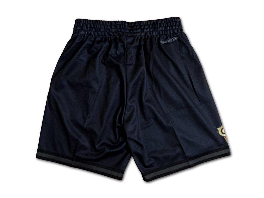 Mitchell & Ness 達拉斯獨行俠隊 Big Face 4.0 球褲