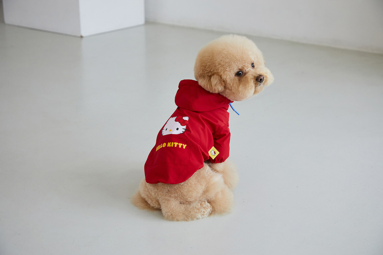 【韓國直送｜原裝行貨】Dan Online Hello Kitty 狗狗風褸 (紅色) (多款尺寸）