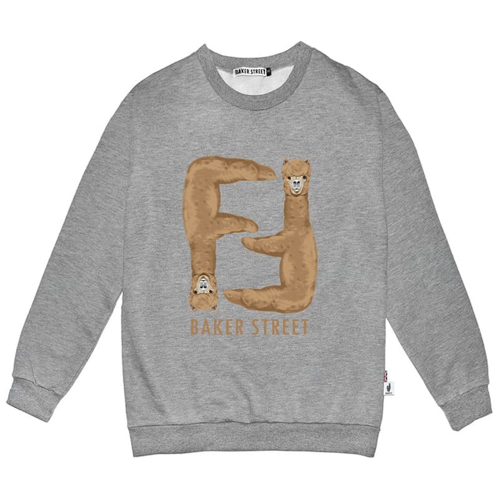 Upside Down Alpaca 摩卡顛倒駝 高磅數長袖圓T