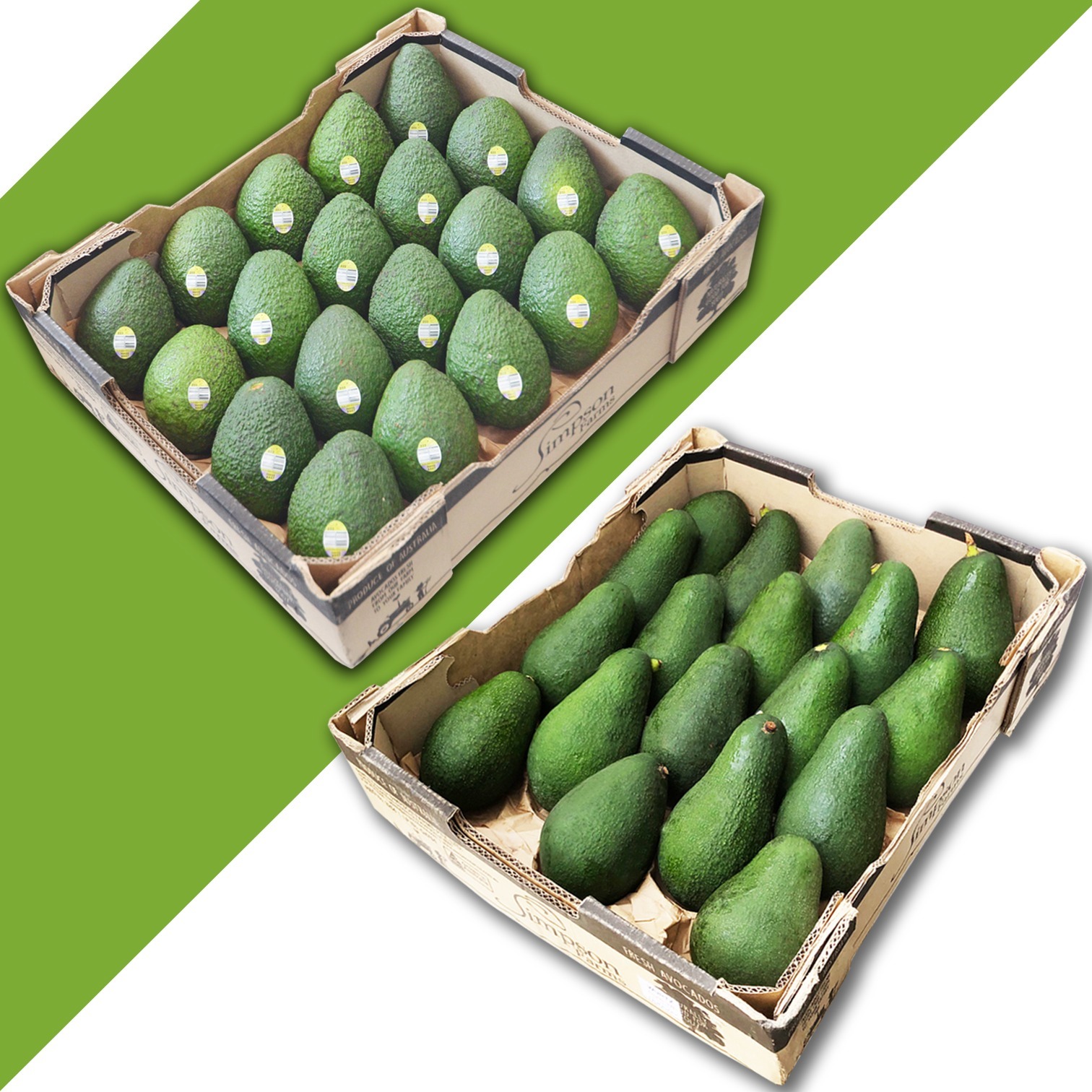 澳洲牛油果 [原箱|大裝]