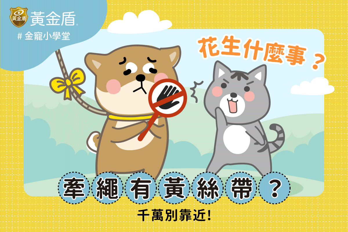 狗狗身上綁上黃絲帶舉著請勿靠近的告示牌，貓咪在旁邊非常驚訝
