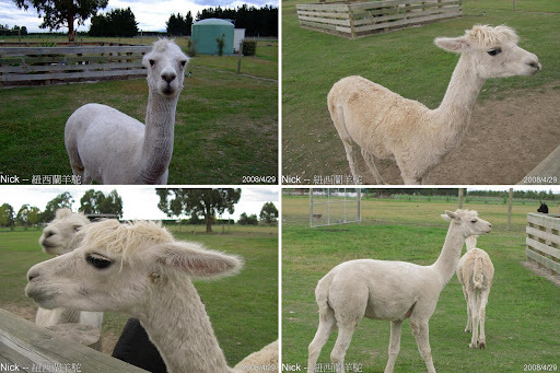 So Good again off- 天然精油