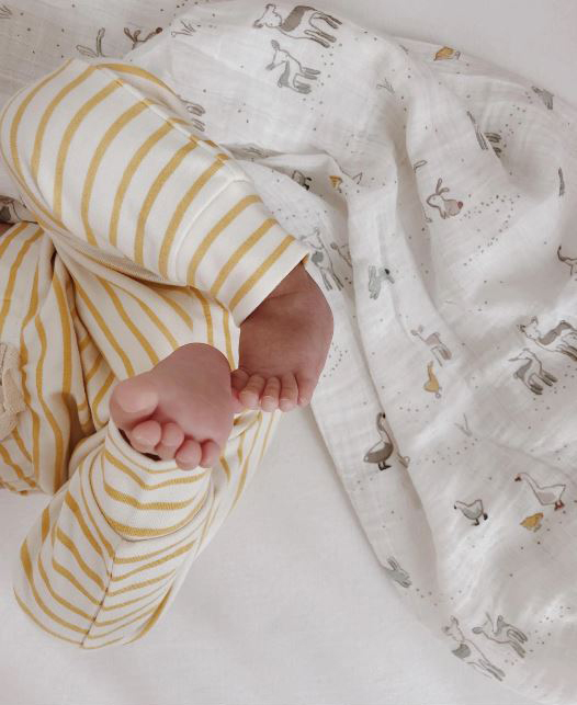 Pehr-寶寶棉質長褲(Marigold)