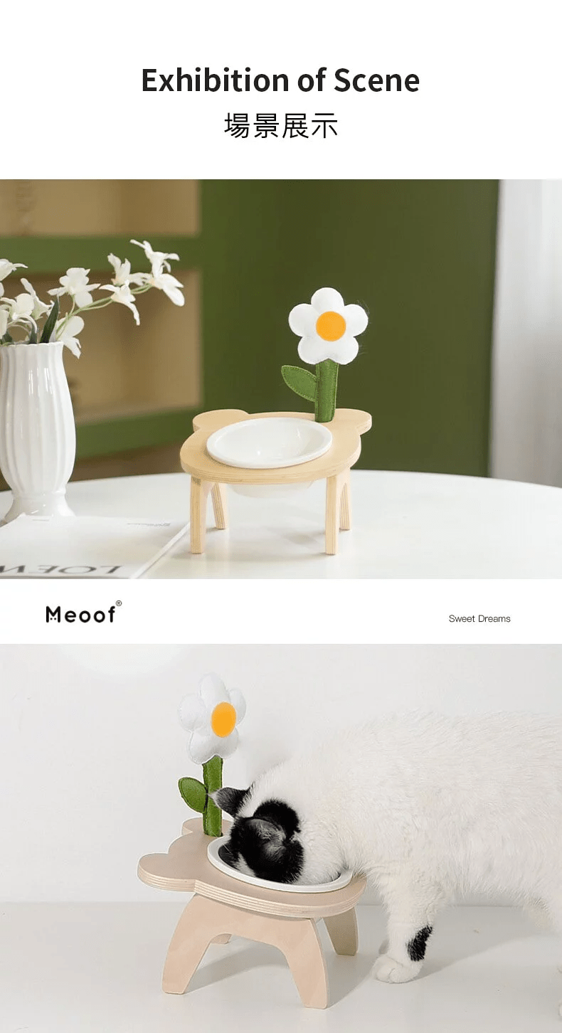 meoof 可愛小熊陶瓷餐碗