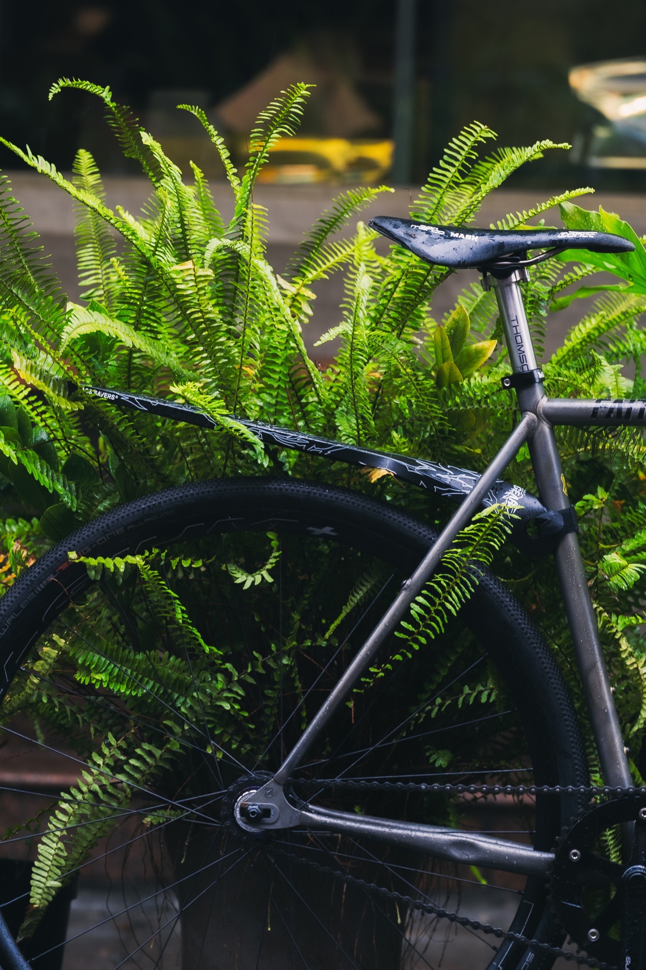 FAITHGEAR x Ass Saver Fendor Bendor - Thorns