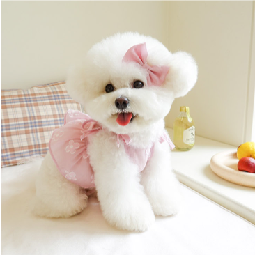 Noutti 透明小花短板上衣