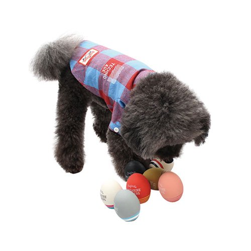 Mandarine Brothers 蛋形玩具 5色