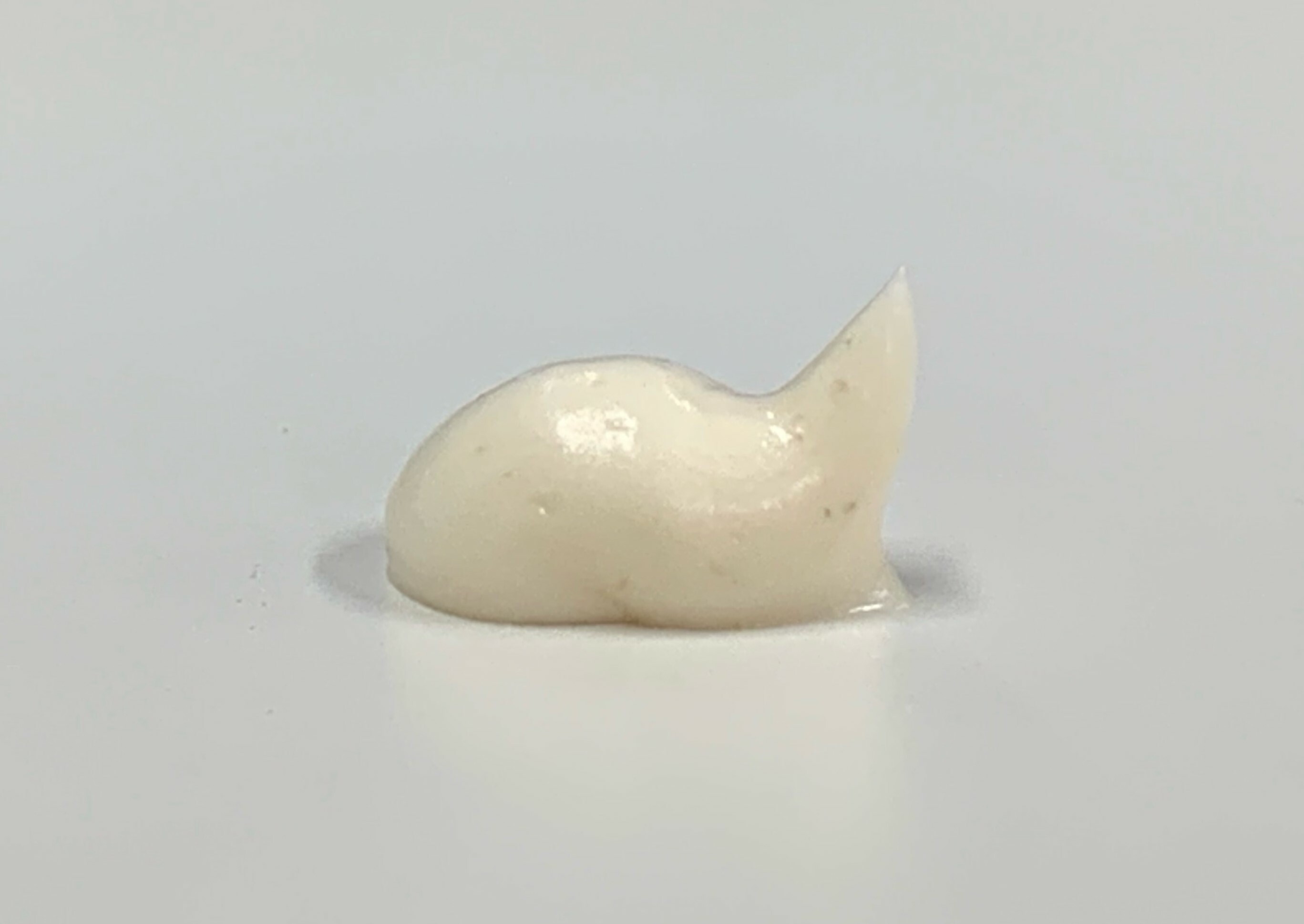 Q-NESS 口腔凝膠 [犬貓通用]