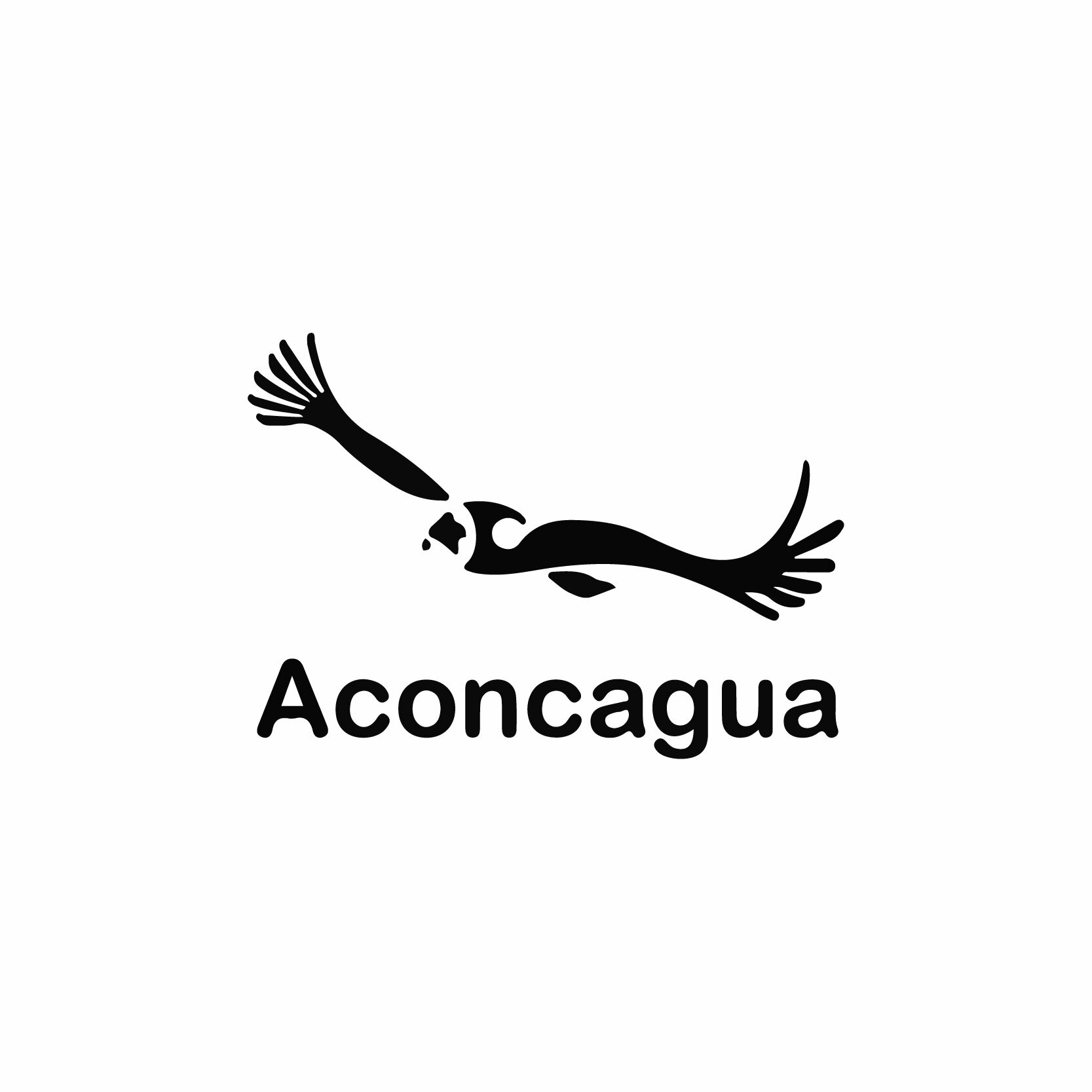 Aconcagua