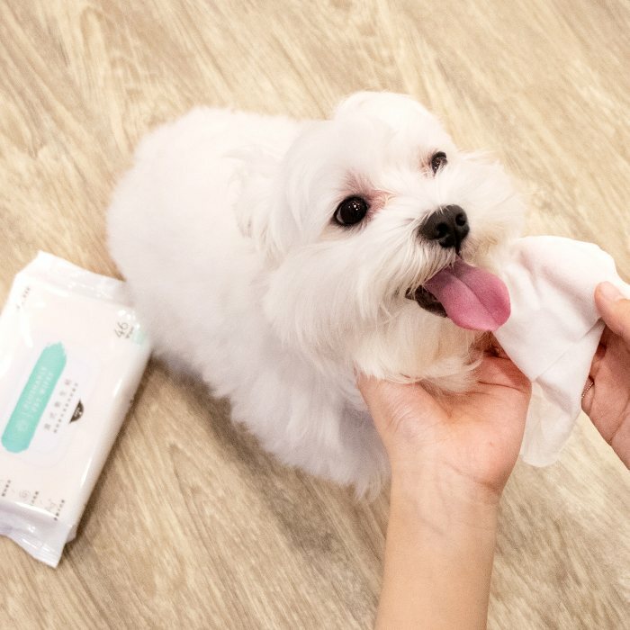 汪喵星球 - 濕式衛生紙/濕紙巾 (12張 - 隨身包)