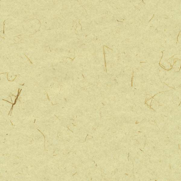 モリシカT-04FH稻草 土佐和紙壁紙