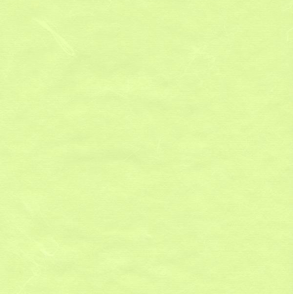 モリシカT-26FH楮皮雲龍・若草色 土佐和紙壁紙