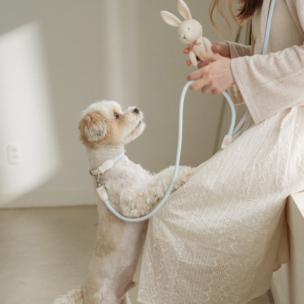 Stroll 多重牽繩（主牽繩）