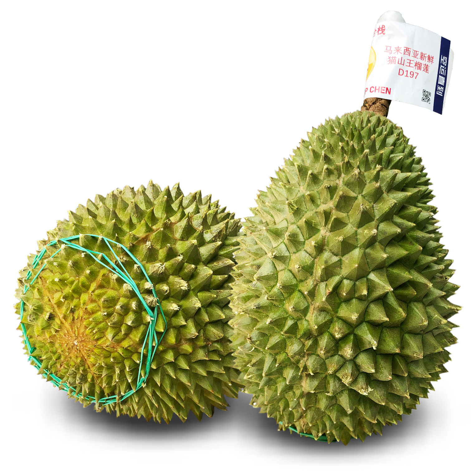 馬來西亞 D197 貓山王榴槤 [原箱|10kg]