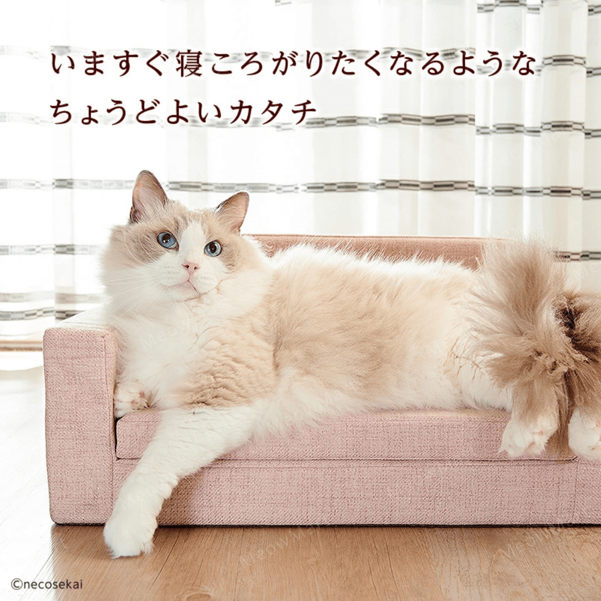 日本 necosekai 貓咪防水梳發床