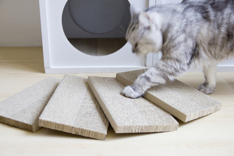 Angle Wave 迷你貓抓板 (4片)