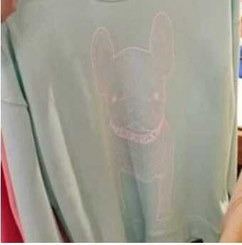 [S] LIFEWORK RADOK BIG LOGO SWEATSHIRT,MINT, LW225MT990-5-17 (SLW25)