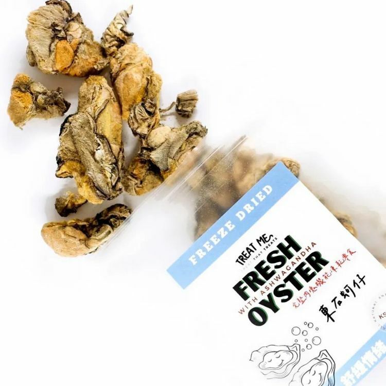 TREAT ME 食癒毛小孩 ｜蚵仔好開鋅