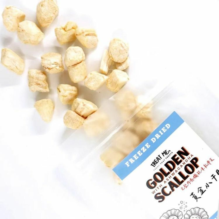 TREAT ME 食癒毛小孩 ｜干貝好愉快