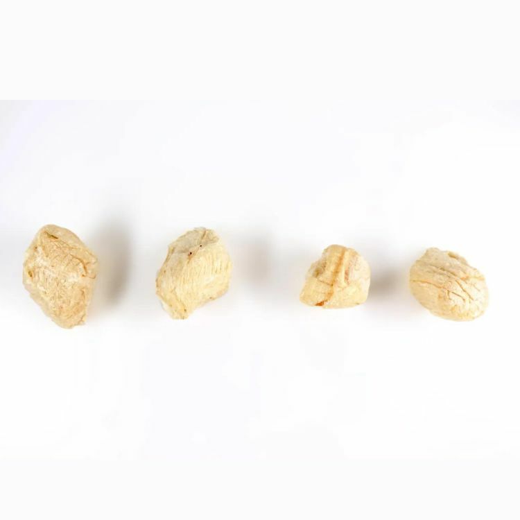 TREAT ME 食癒毛小孩 ｜干貝好愉快