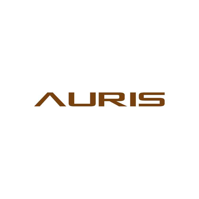 Auris Audio